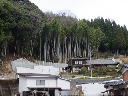 防急砂第31号の3　（急）深井地区　急傾斜地崩壊対策工事